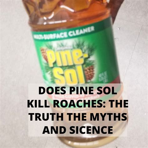 pine sol and roaches